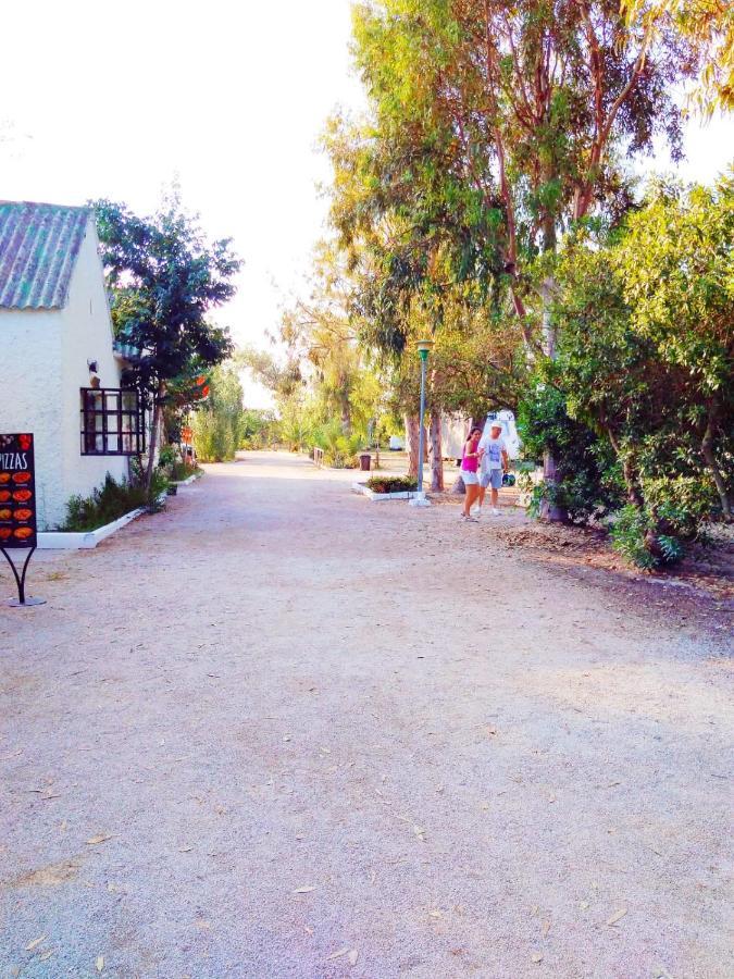 Camping La Naranja Hotel Gandia Exterior photo