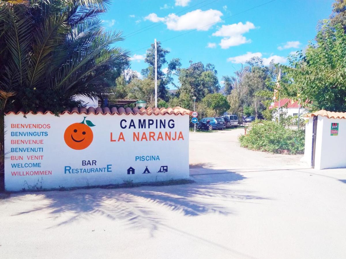 Camping La Naranja Hotel Gandia Exterior photo